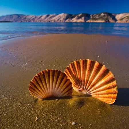 Supetarska * Supetarska Draga
